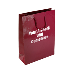 Medium Gloss Laminated Rope Handle Paper Bags-25x34x10cm